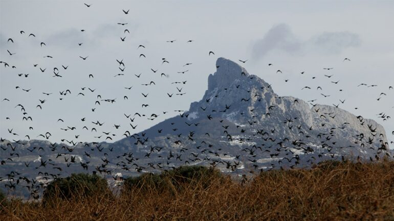 Entre Villas Y Vi Edos El Turismo De Naturaleza Es Nico En La Ruta