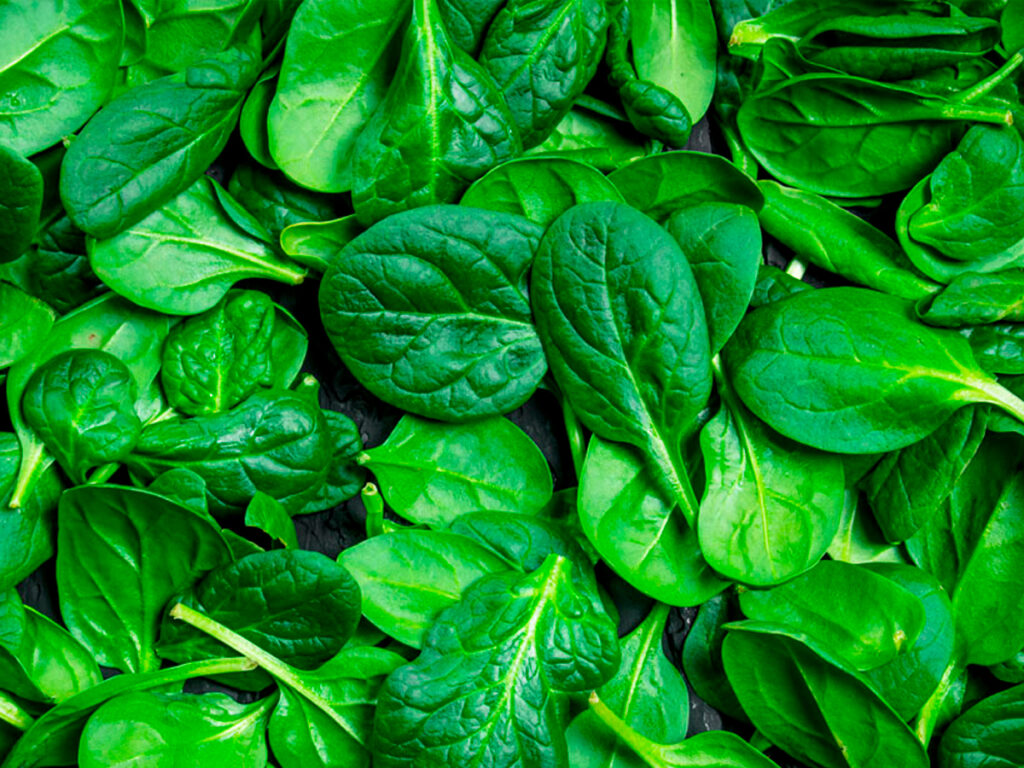 alimentos-antiinflamatorios-hojas-verdes