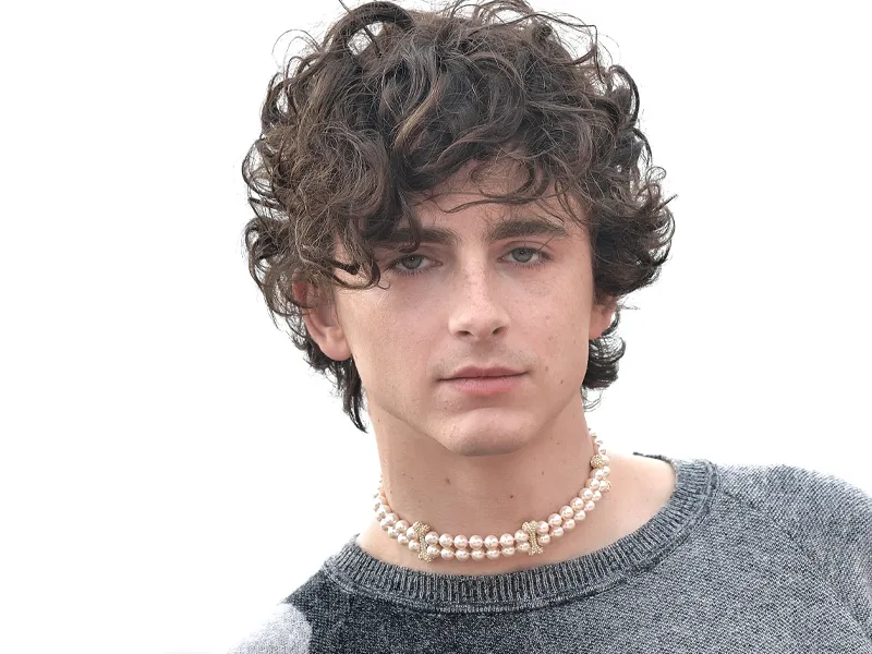 que-es-el-metodo-aca-timothee-chalamet