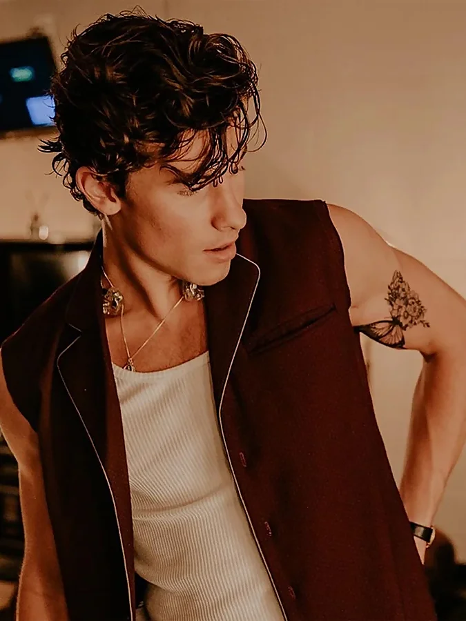 Shawn Mendes con tatuaje de mariposa