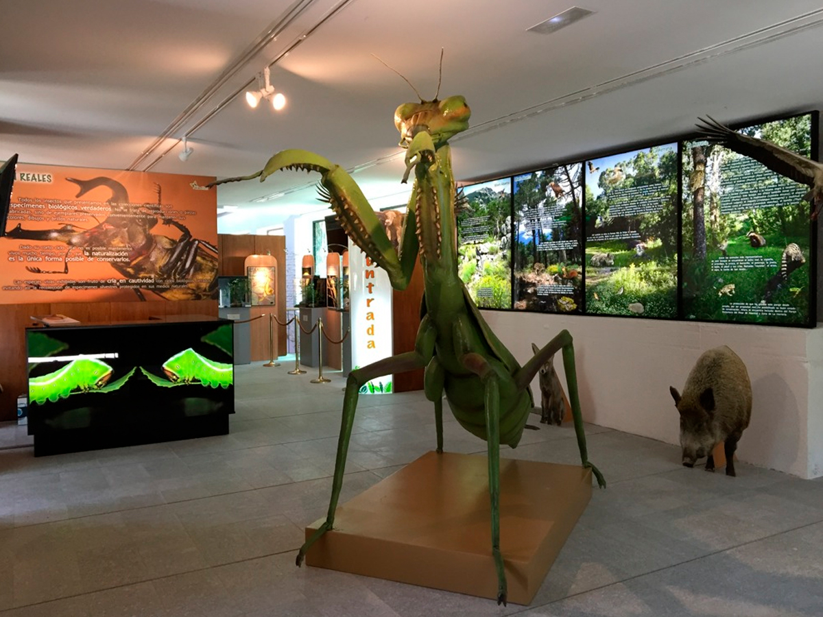 Centro de Naturaleza “Insect Park” en El Escorial