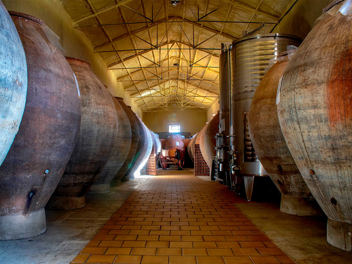 Ruta del Vino de La Mancha Bodega César Velasco