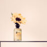 perfumes hombre verano-2025 Louis Vuitton