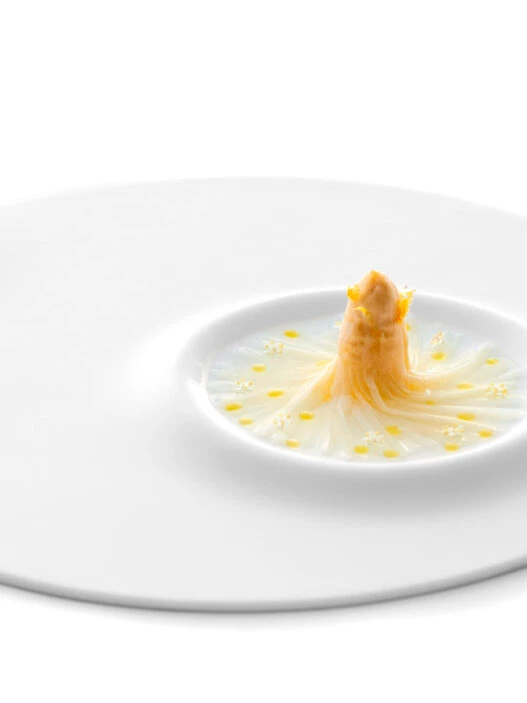 Plato del menú degustación del restaurante Enigma de Barcelona