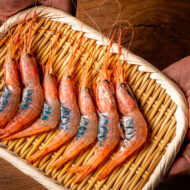 10 motivos para pagar los 315 € que cuesta el menú degustación del restaurante Azurmendi Plato de “Quisquillas y esencia de hierbas" del restaurante Azurmendi