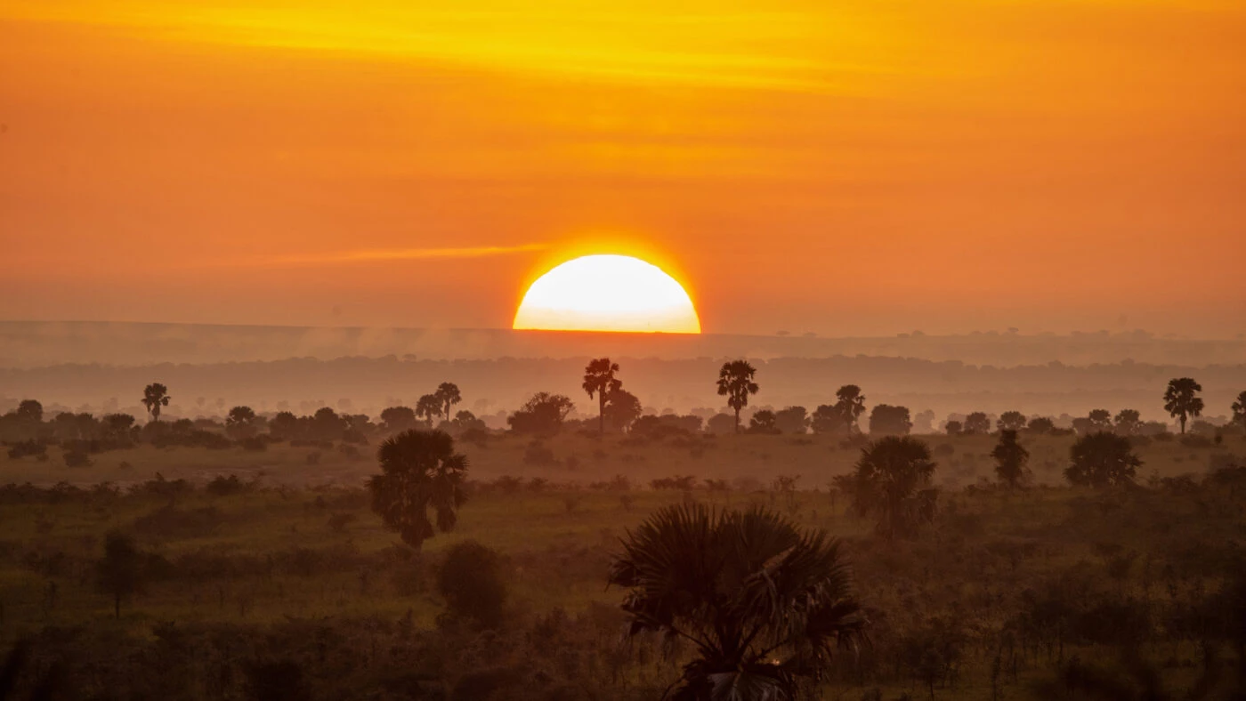 Atardecer en un Parque Natural de Uganda