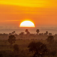 Atardecer en un Parque Natural de Uganda