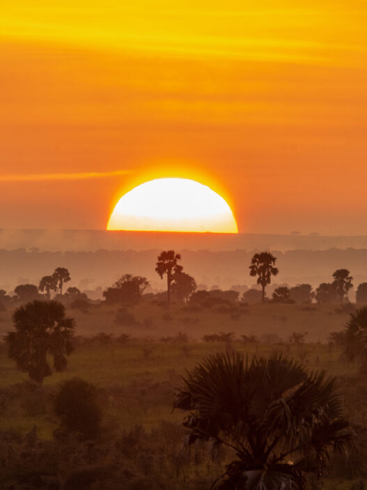 Atardecer en un Parque Natural de Uganda