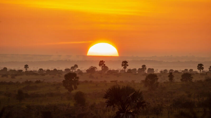 Atardecer en un Parque Natural de Uganda