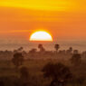 Atardecer en un Parque Natural de Uganda