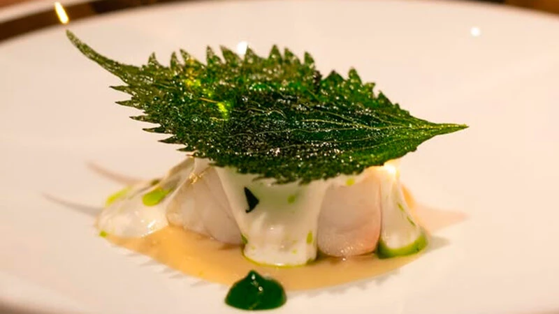 Plato del menú Celebration del restaurante Caelis con lubina y hoja de shiso crujiente.