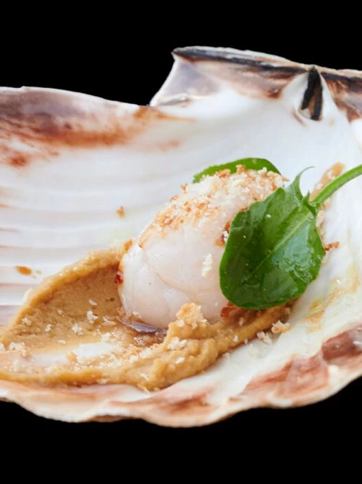 Vieira con crema y brote verde del menú Solaina en el restaurante Silabario de Vigo.