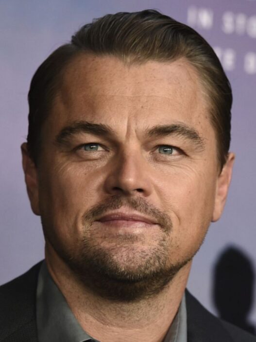 Retrato del actor Leonardo DiCaprio