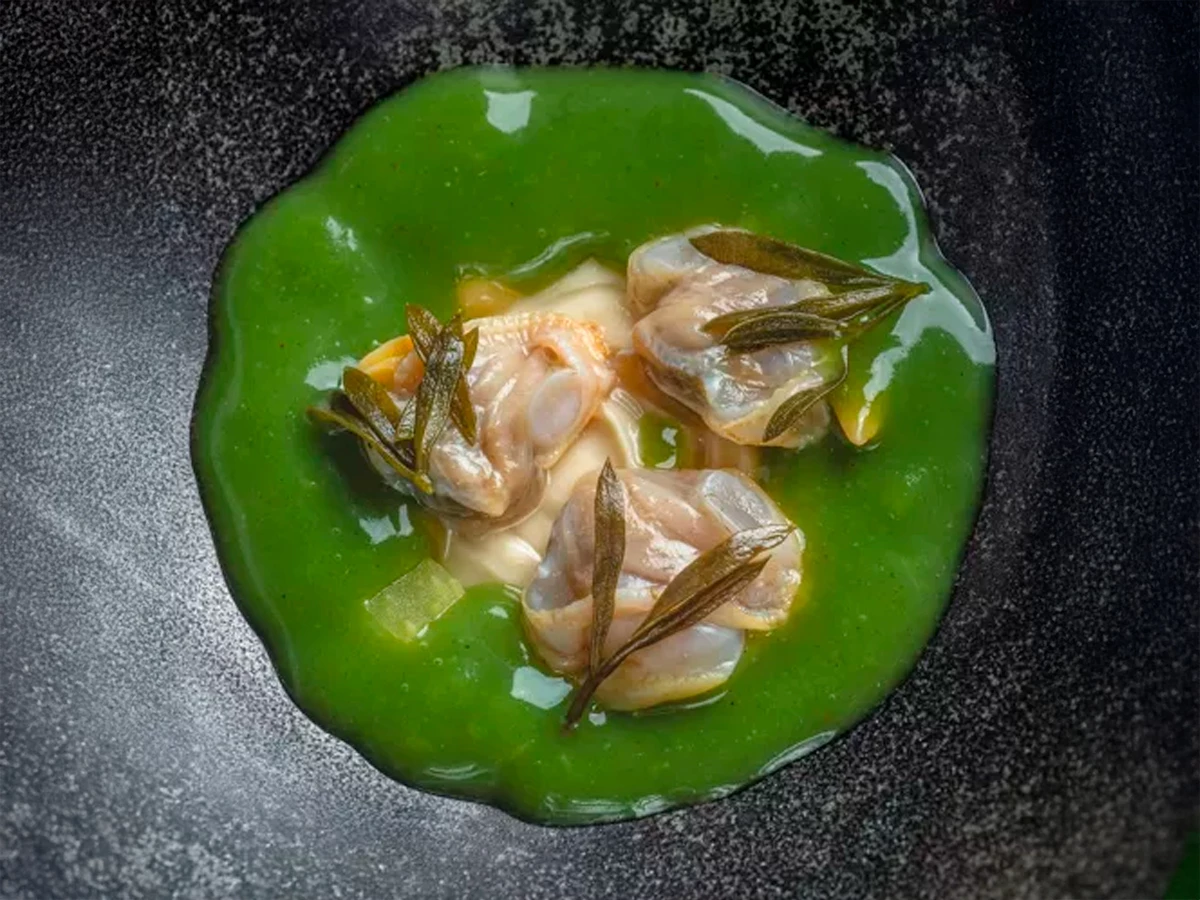 Plato del menú degustación Soniquete del Corral de la Morería con berberechos y jugo marino encurtido.