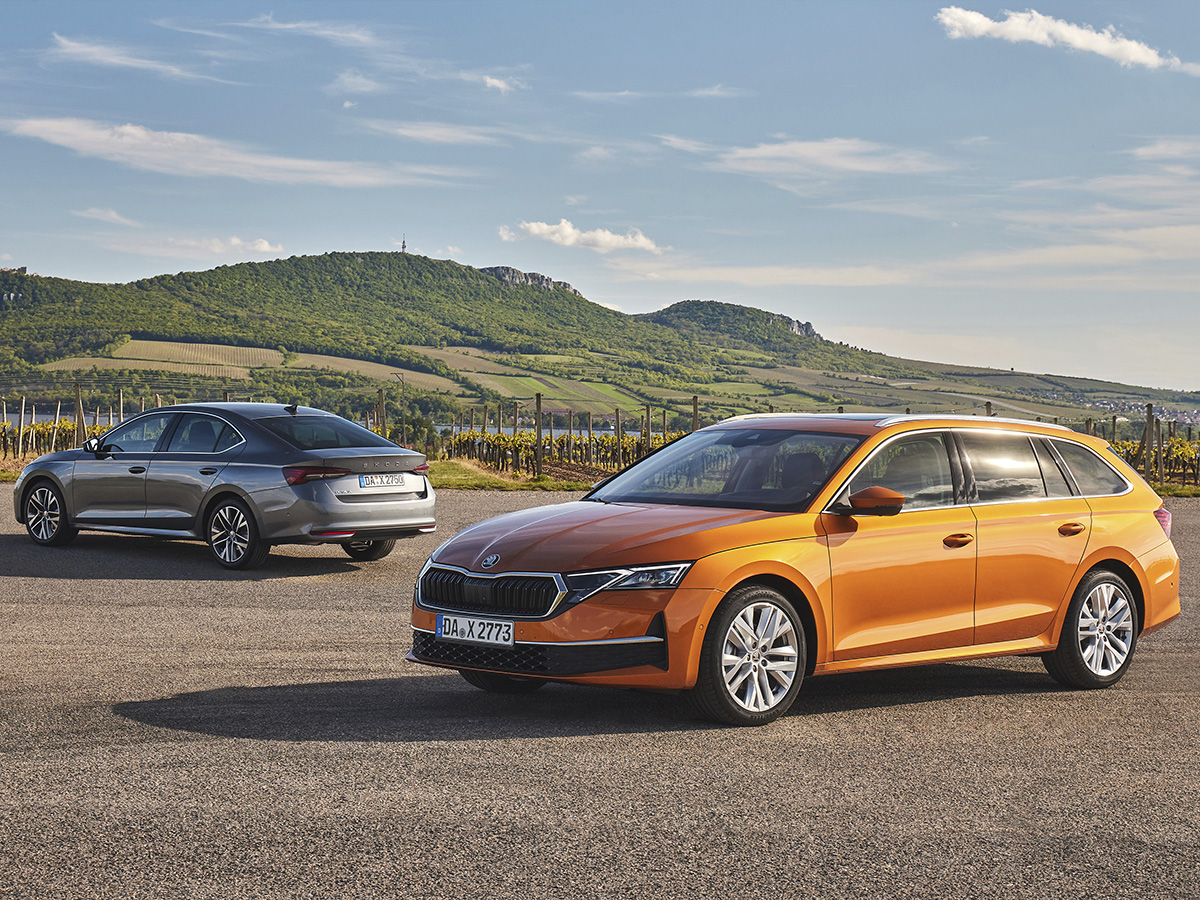 dos coches Skoda Octavia Combi en mitad de un prado, uno naranja y el otro gris.