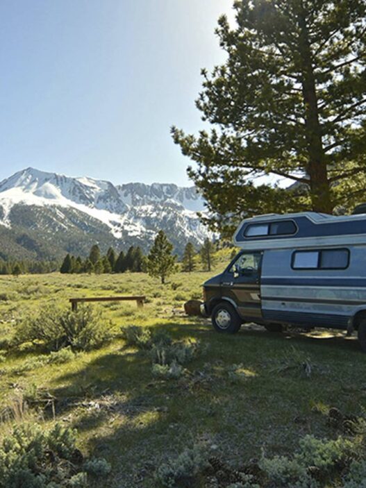 hombre en un bonito campo verde frente a su caravana de fondo se ven unas hermosas montañas nevadas en un día muy soleado