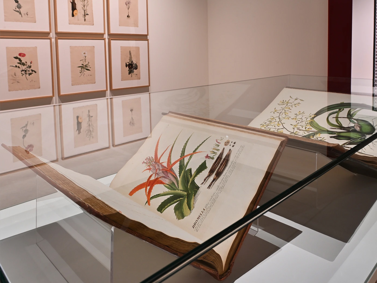 Exposición El sueño de la razón, en Madrid, Navidad 2025