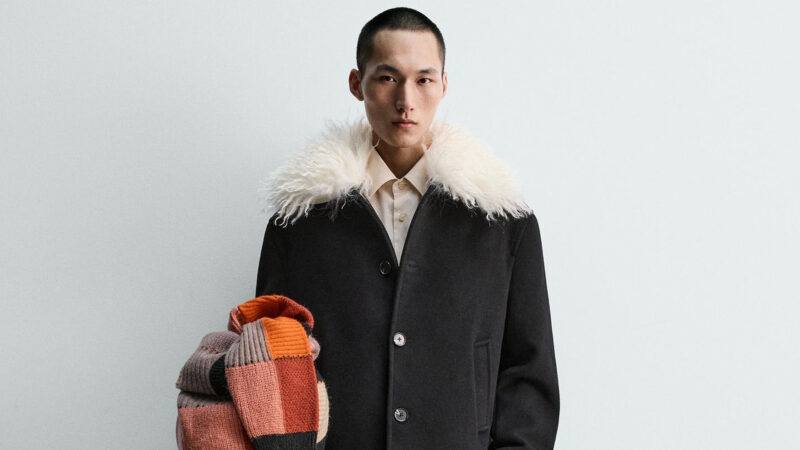 Chaquetón Corto Combinado Harry Lambert For Zara X Disney