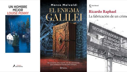 Portadas de algunos de los libros más comprados por los hombres en 2025