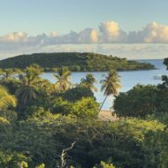 Qué visitar en Vieques: playas, rutas y lugares imprescindibles Vistas de la playa Esperanza, en la isla de Vieques, Puerto Rico.