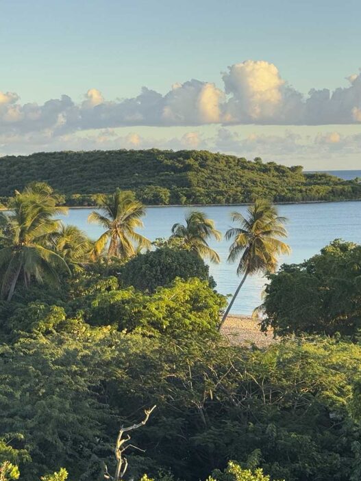 Vistas de la playa Esperanza, en la isla de Vieques, Puerto Rico.