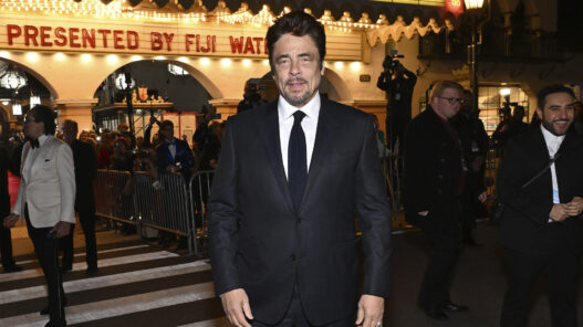 Benicio del Toro Ceremonia de entrega de los Premios Hammond Cinema Vanguard