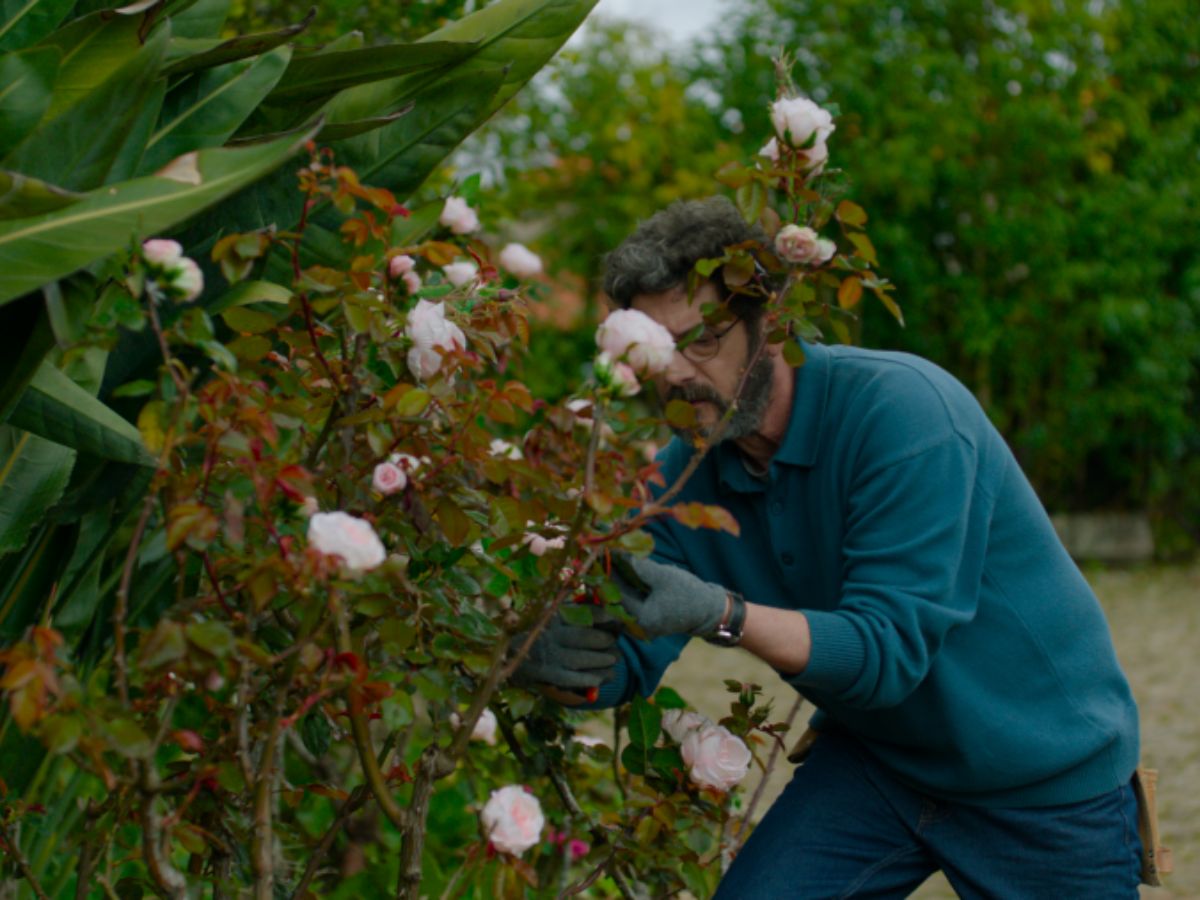 Manolo Solo con una camisa azul y vaqueros podando un matorral como jardinero en una escena de la película Una quinta portuguesa.