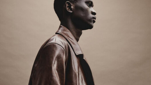 Blazer piel marrón Zara edición limitada