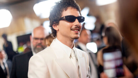 Timothée Chalamet en la 98.ª edición de los Premios Óscar