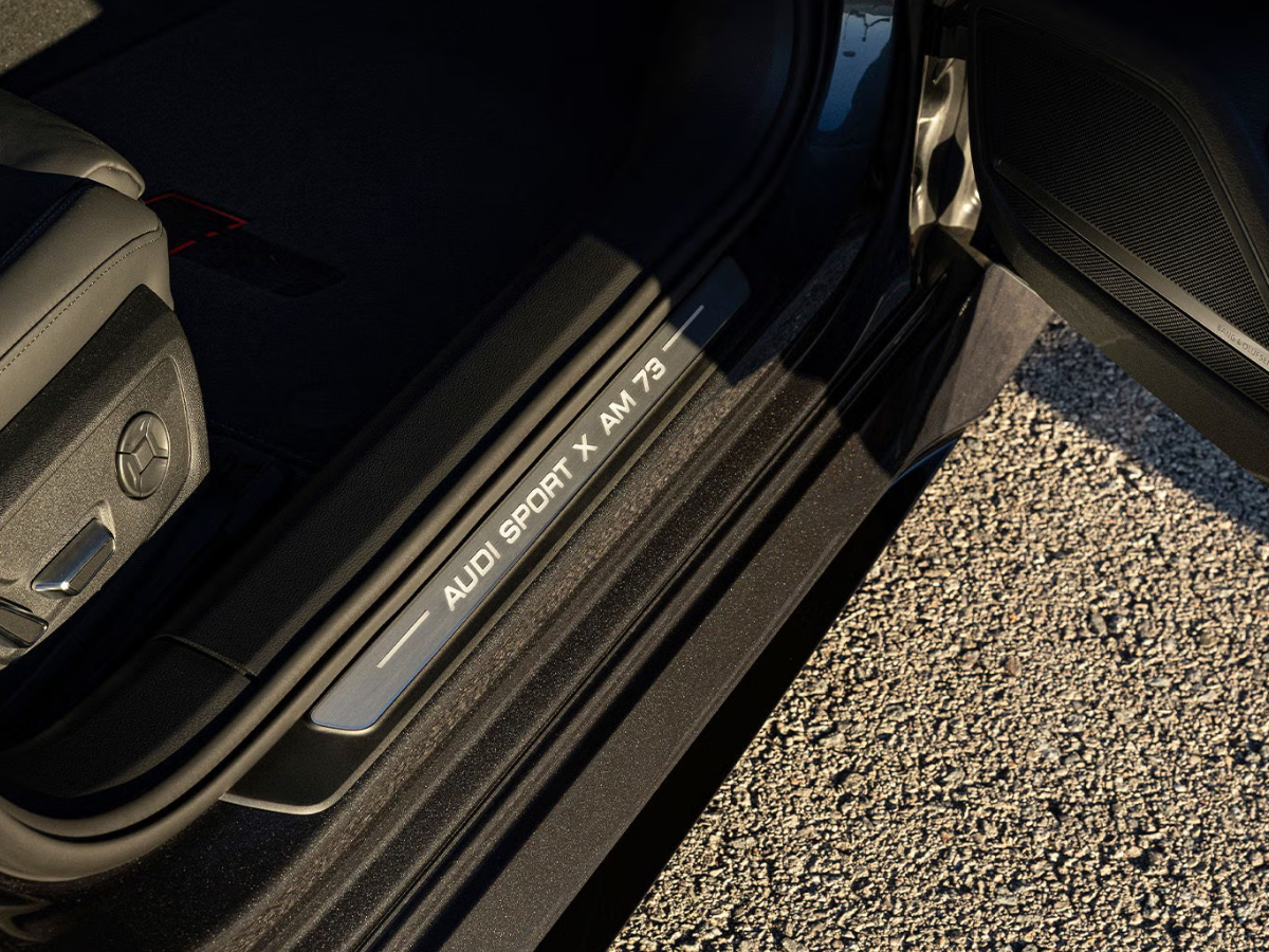 Puerta Audi RS6 Alex