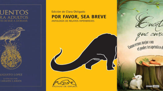 Portadas de algunos libros de cuentos para dormir para adultos