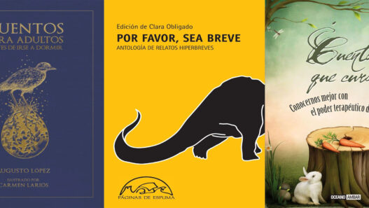 Portadas de algunos libros de cuentos para dormir para adultos