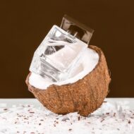 Los mejores perfumes con olor a coco para hombre que harán que te paren por la calle para preguntarte cuál es frasco de perfume dentro de un coco