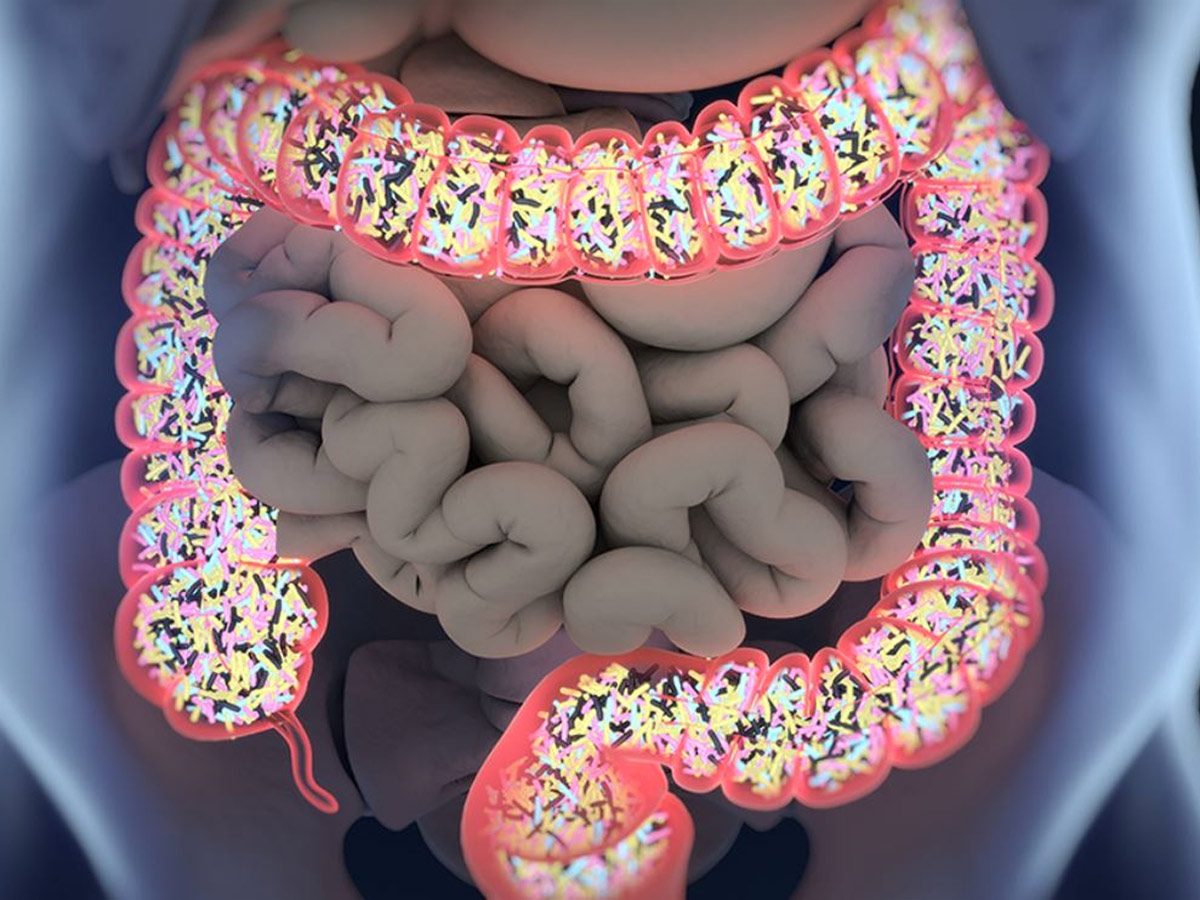 microbiota