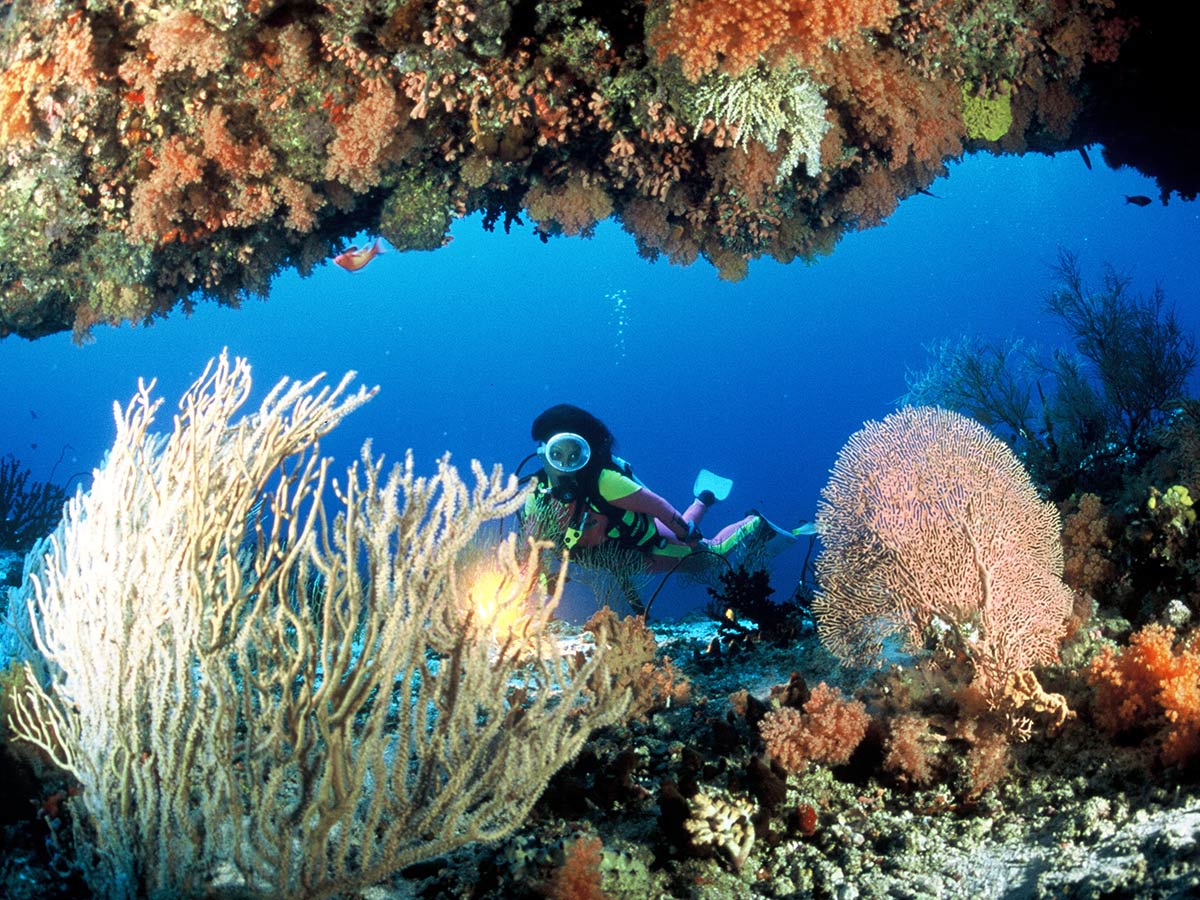 Buceador explorando el arrecife de coral junto al hotel The Residence Falhumaafushi en Maldivas