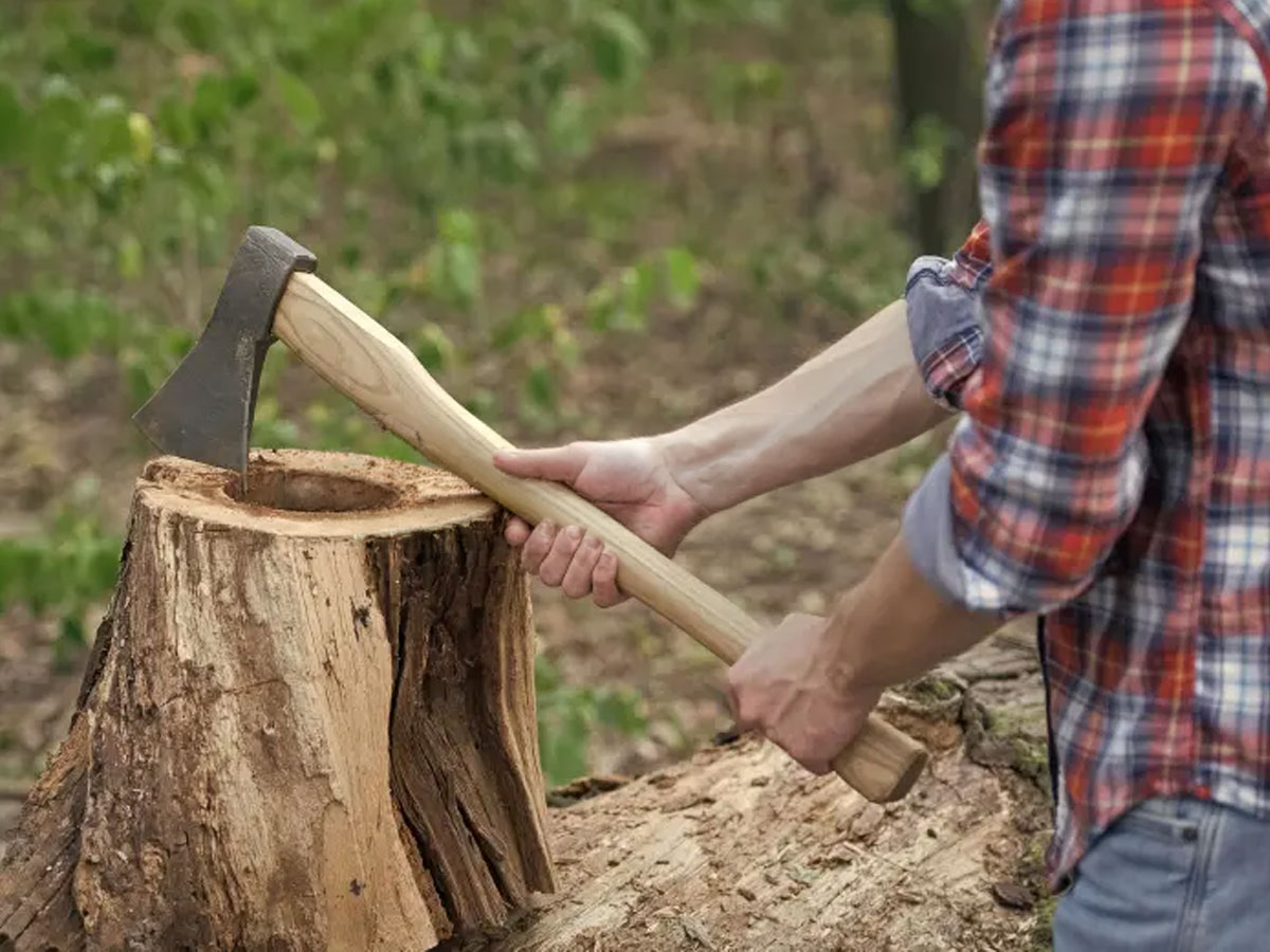 manos de hombre cortando leña con hacha