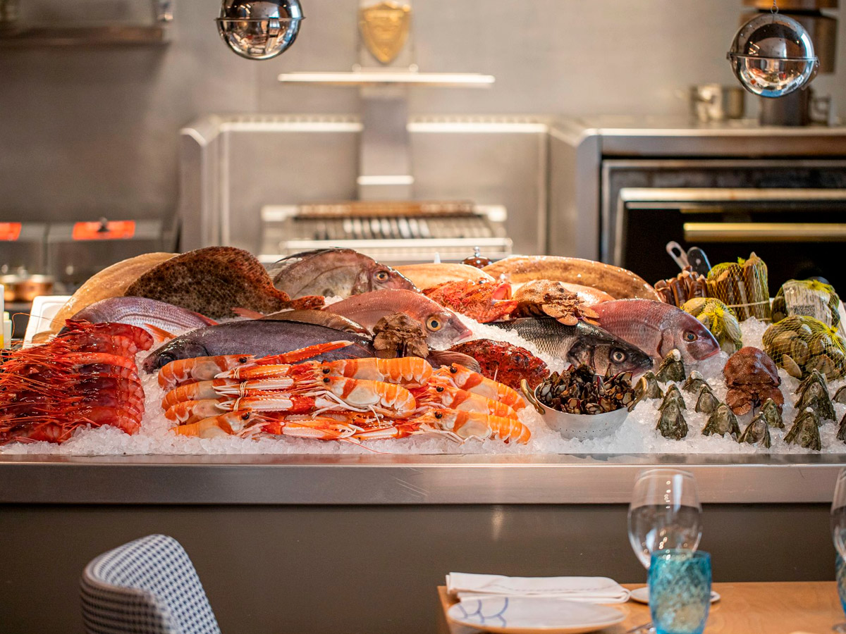 barra de pescados y mariscos del restaurante Estimar en Madrid