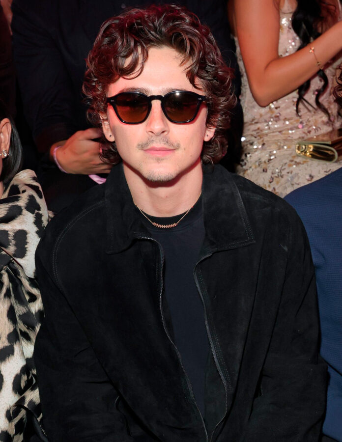 Timothee Chalamet Victorias Secret 2026