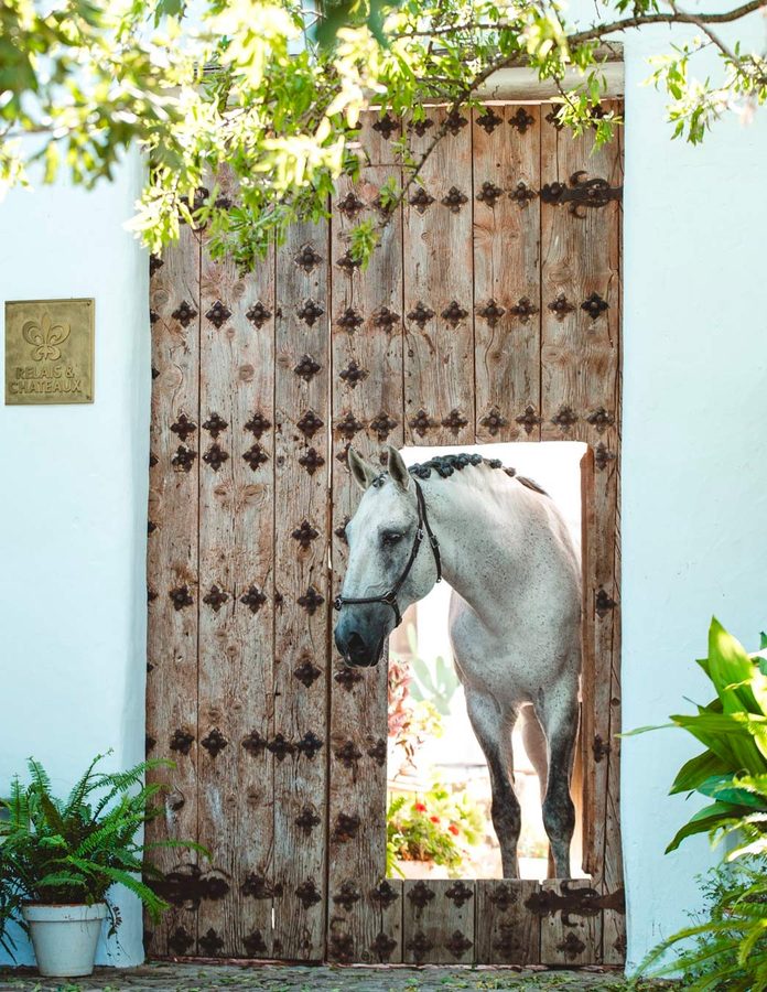 Caballo en la puerta del Hotel Finca La Donaira