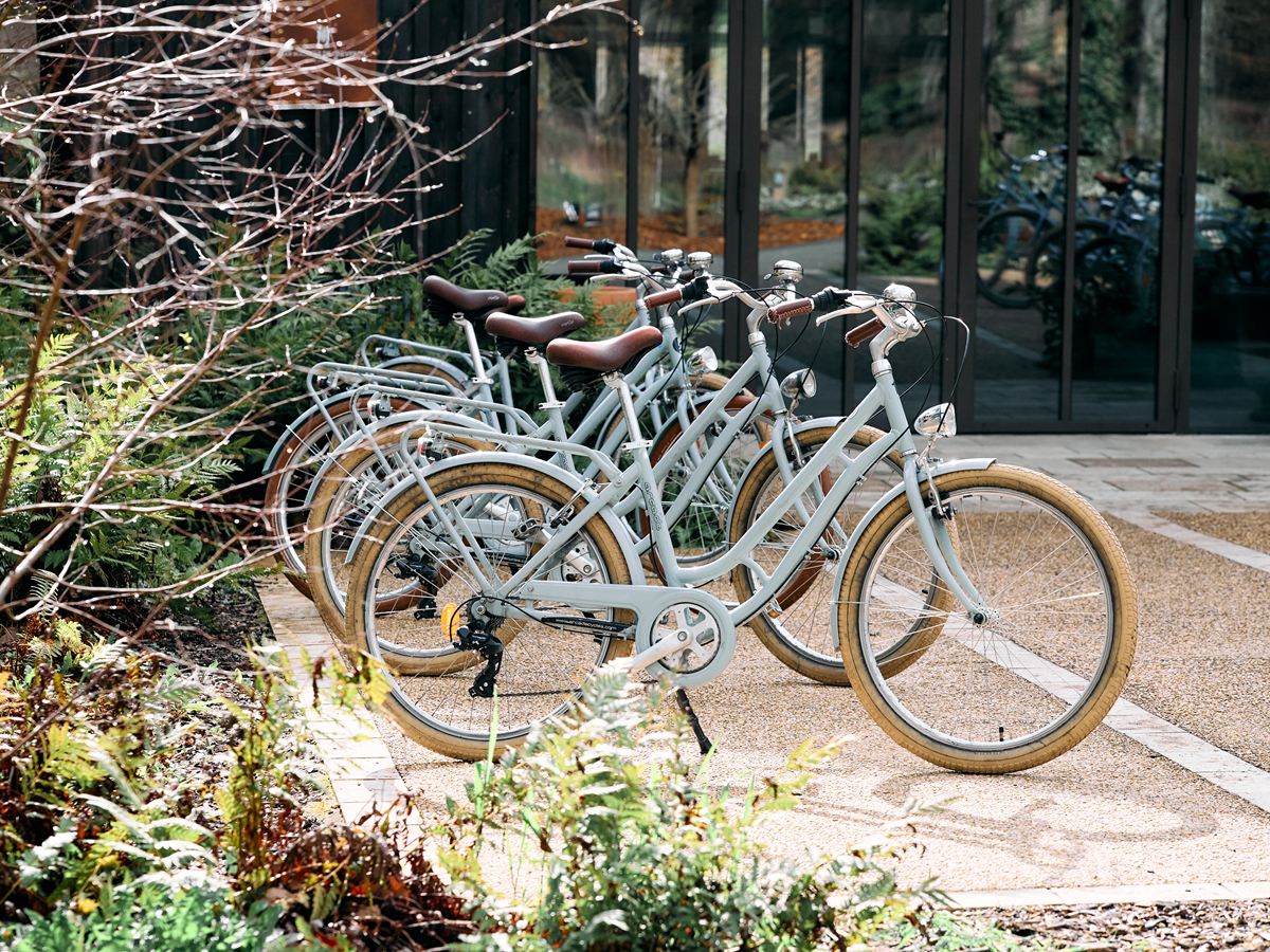 Bicicletas de paseo de color gris claro con sillín de cuero aparcadas junto a una fachada de madera y cristal de Les Sources de Cheverny