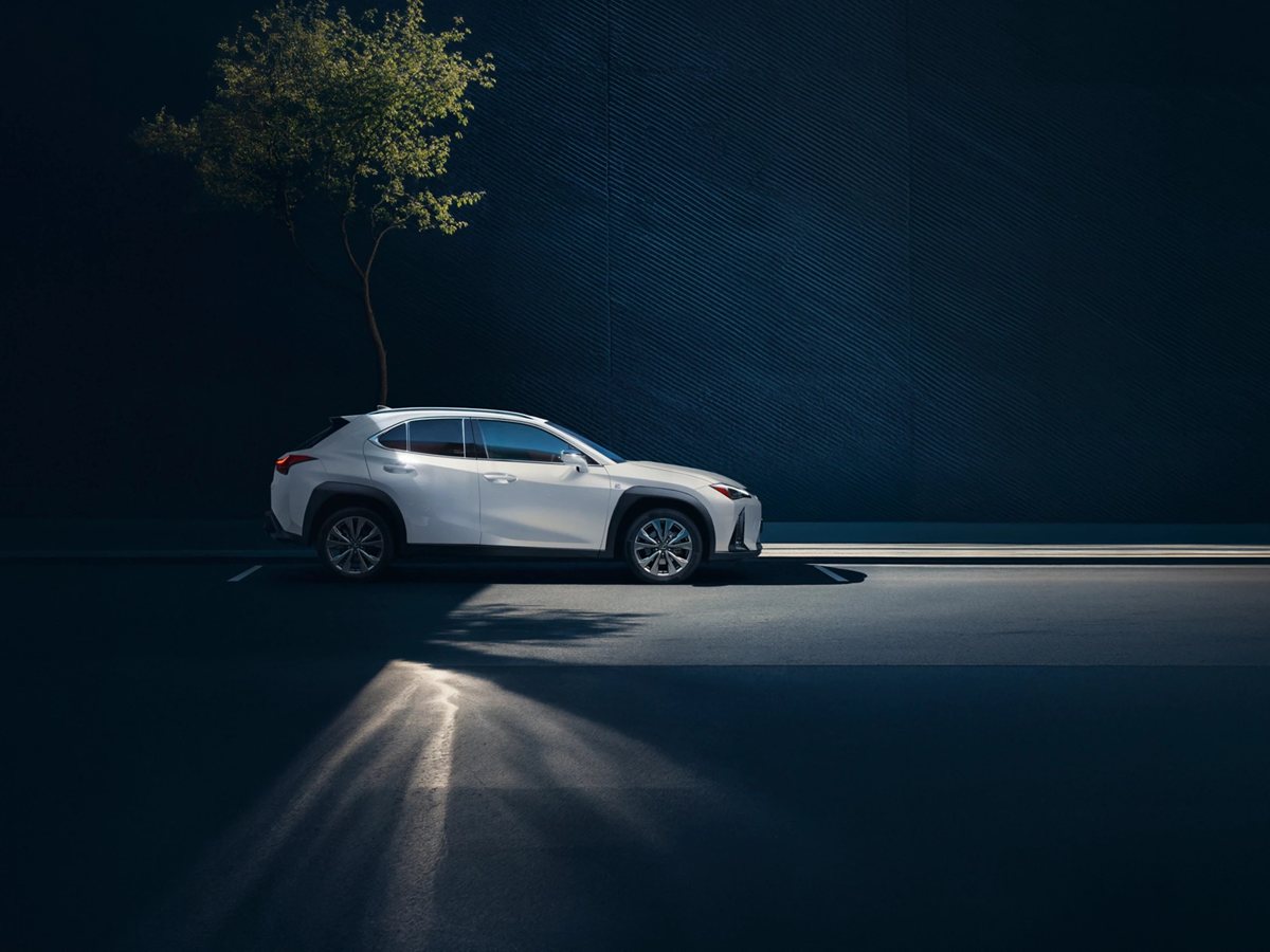 Lexus UX blanco de perfil aparcado junto a un muro oscuro con un árbol