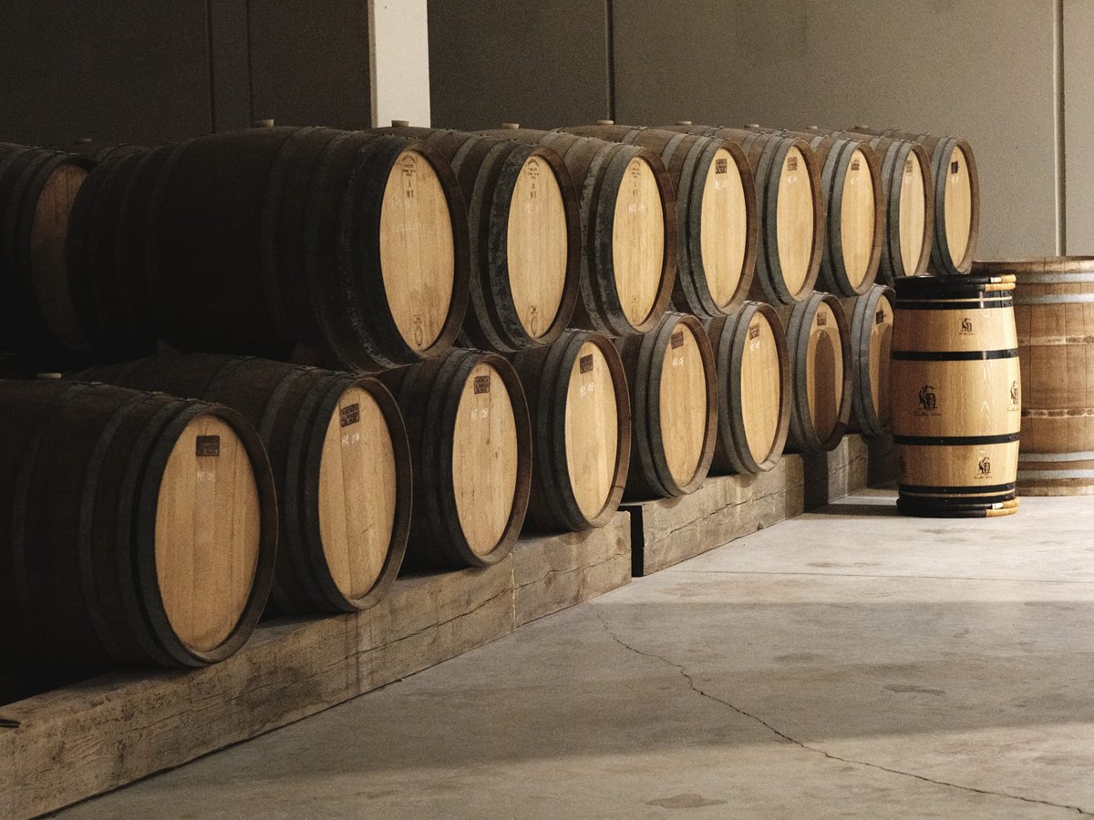 Barricas de roble en la bodega de Terra Dominicata, en el Priorat